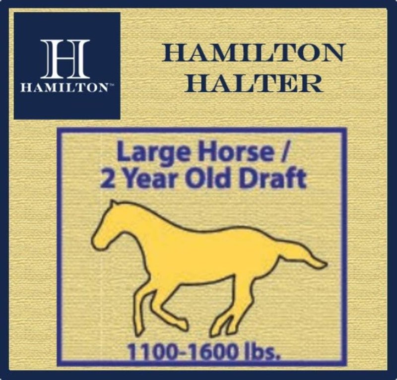 Hamilton Deluxe Horse Halter, 1" Triple Ply Nylon, Adjustable Chin Strap, Easy On/Off Throat Snap, Large Horse or 2 Year Old Draft, 1100-1600 lbs, Wine - Image 4